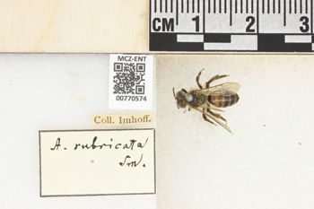 Media type: image;   Entomology 770574 Aspect: Labels
